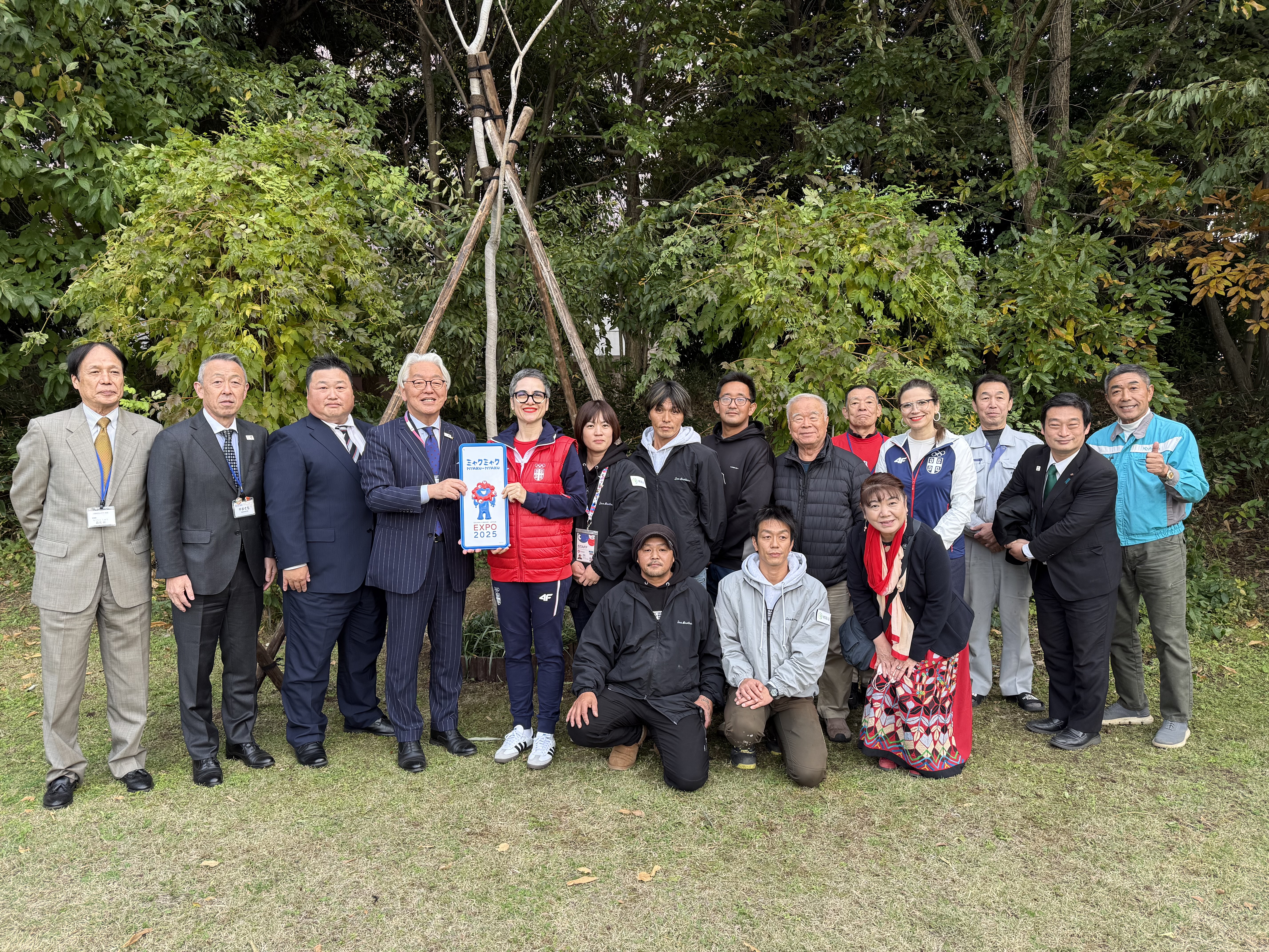 FujimiTree1 FujimiTree1