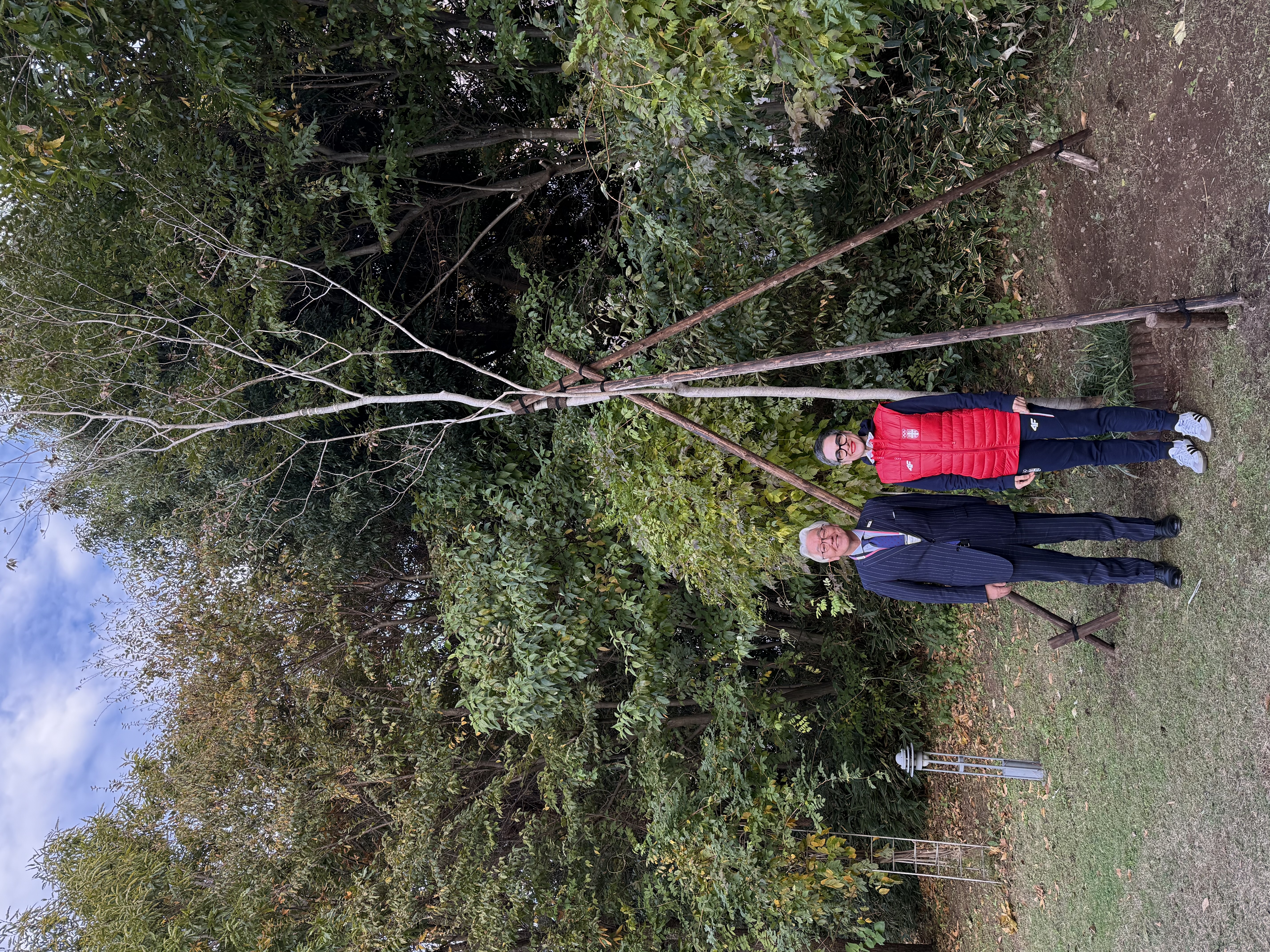 FujimiTree2 FujimiTree2